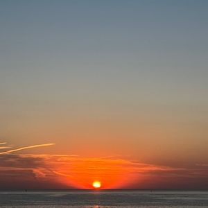 Meet your Posher, Elena